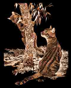 Kratzbild Kupfer gross -Katze am Baum